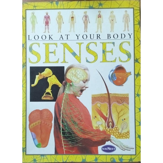 Look At your Body Senses