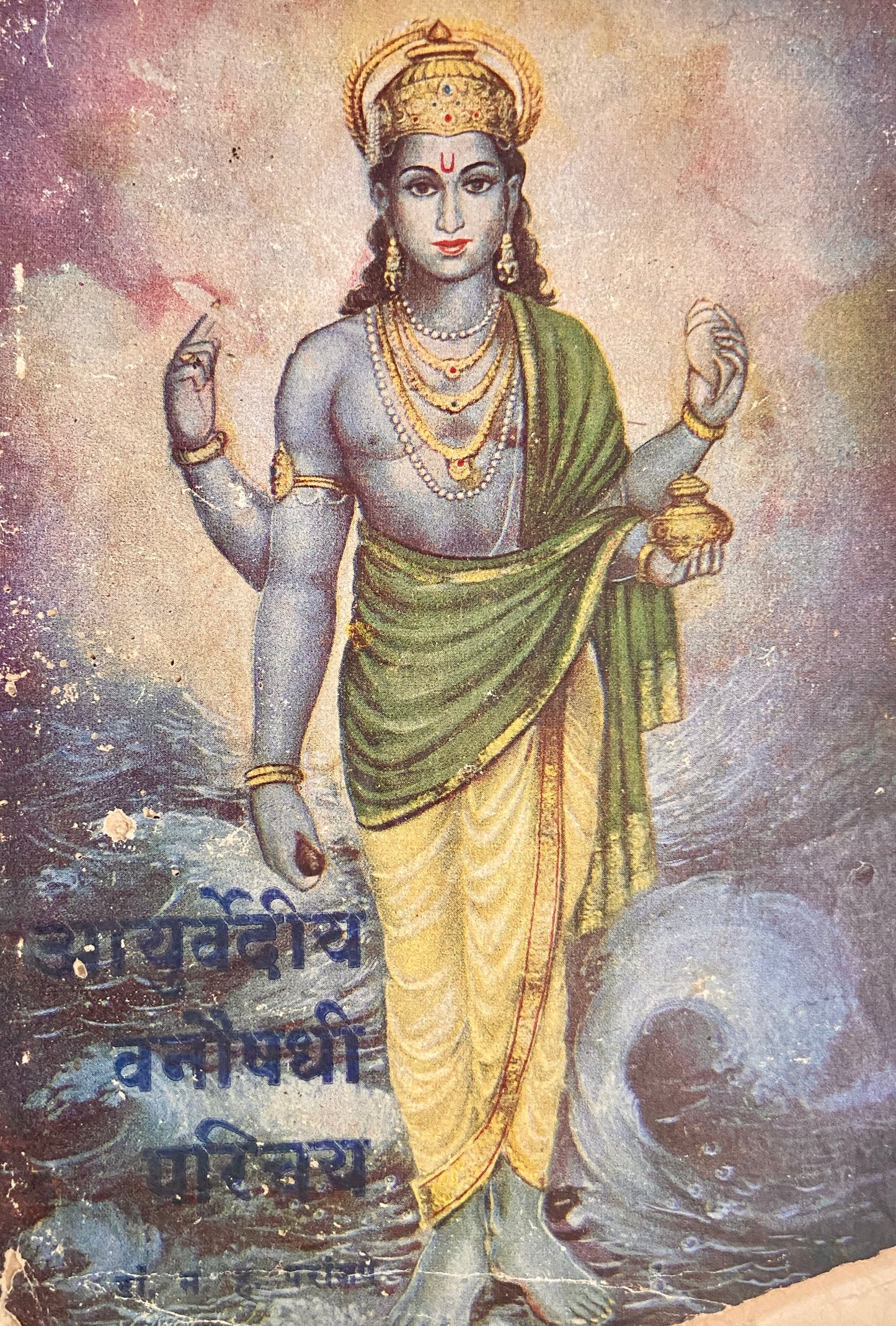 Ayurvediya Vanaushadhi Parichay