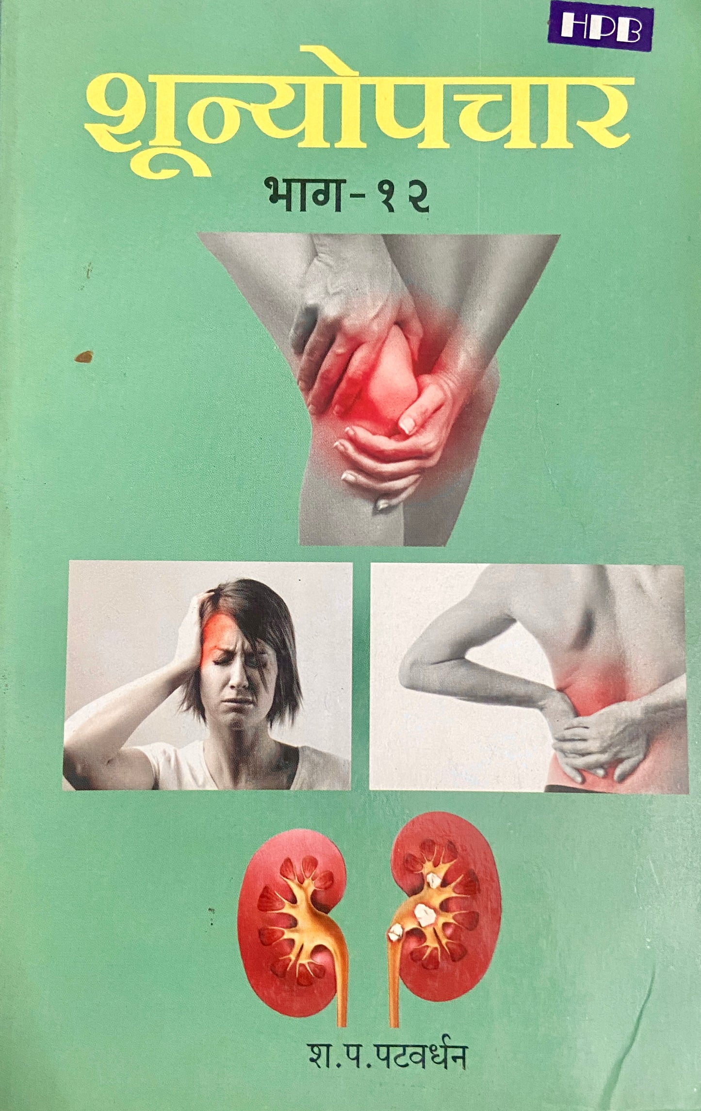 Shoonyopachar - 12 by S P Patwardhan