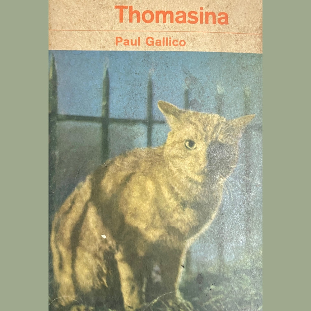 Thomasina by Paul Gallico