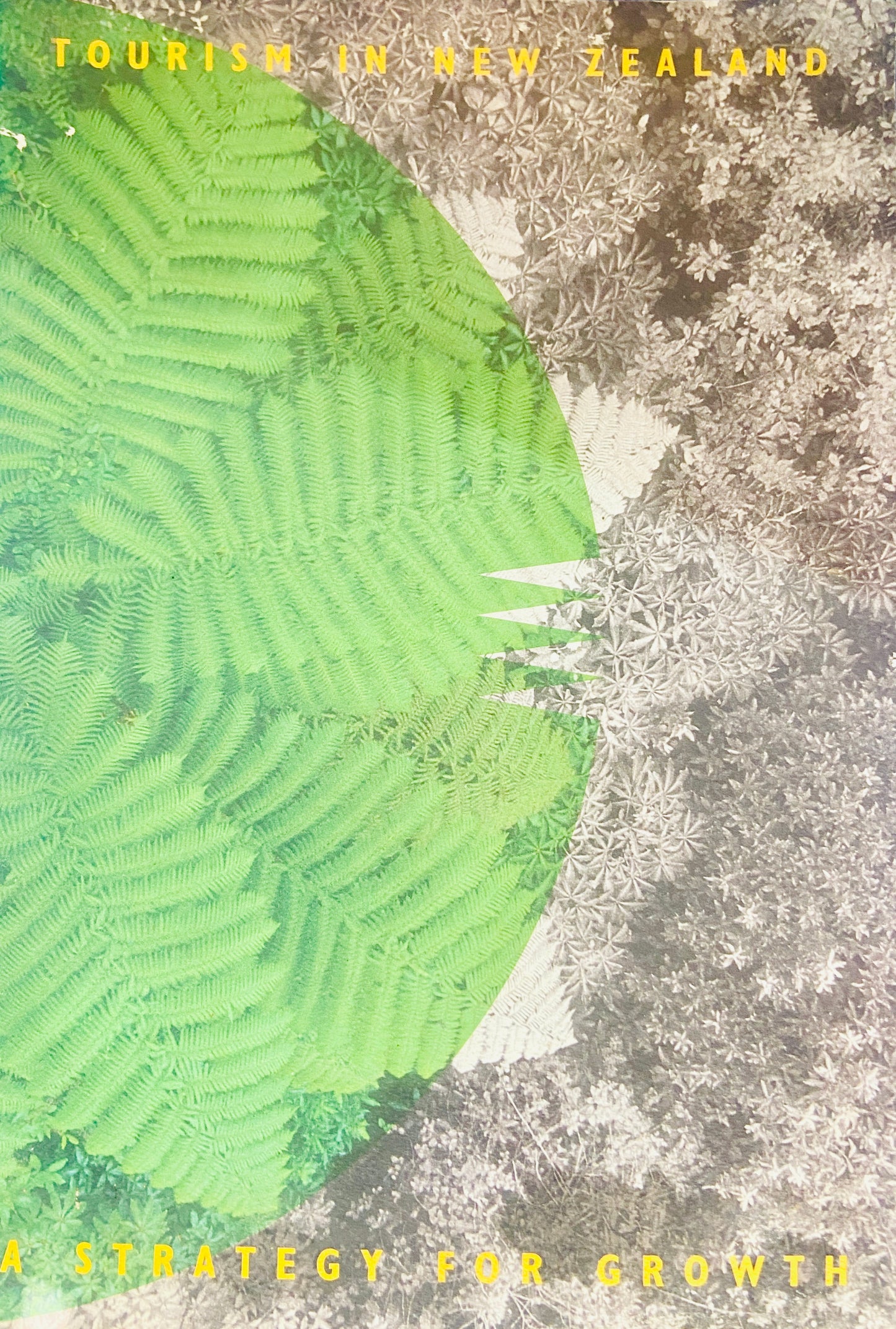 Tourism In New Zealand (D)