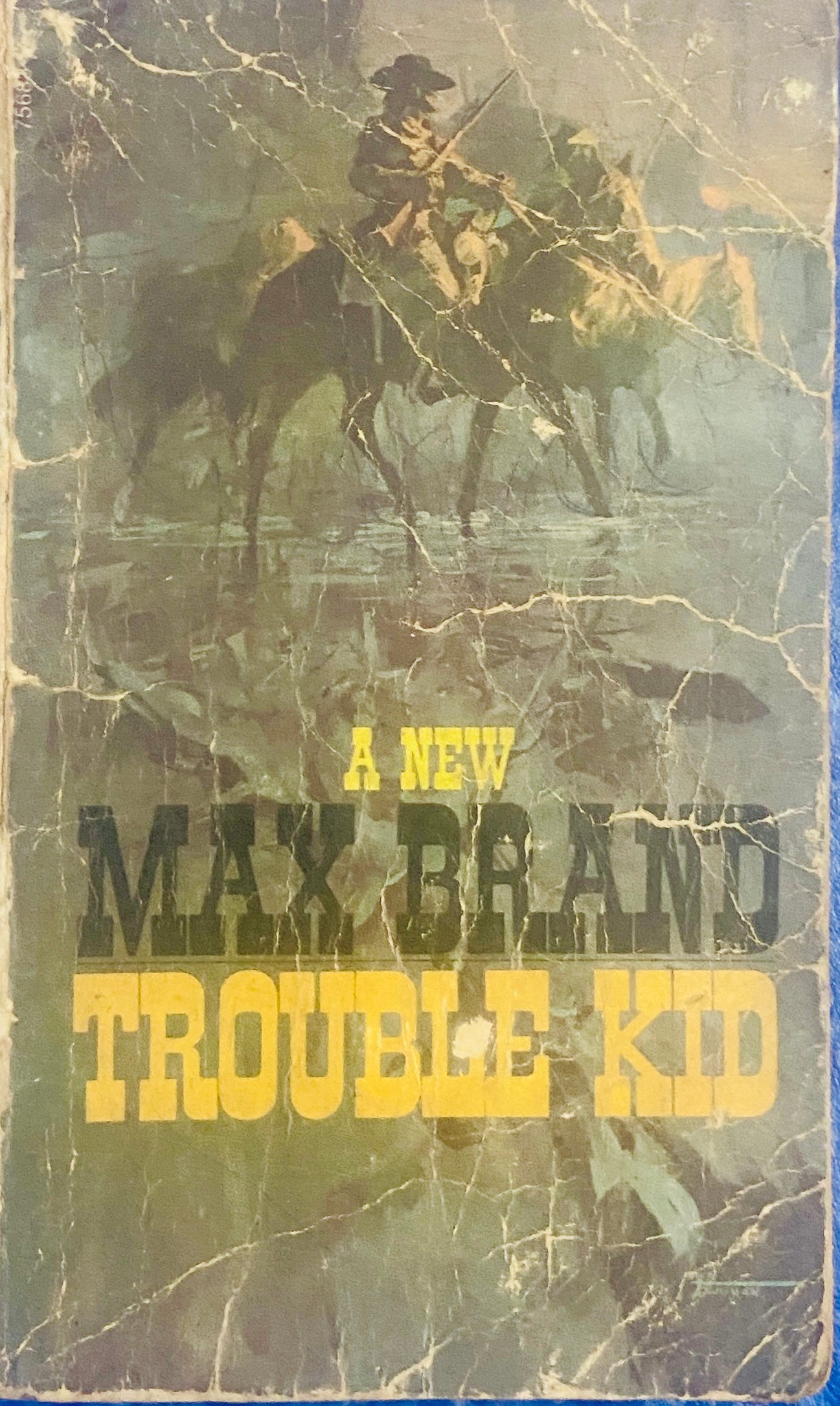 Trouble Kid by Max Brand