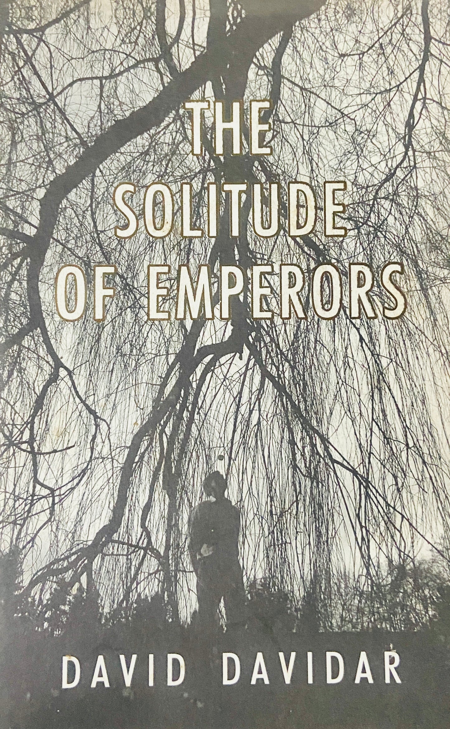 The Solitude of Emperors by David Davidar