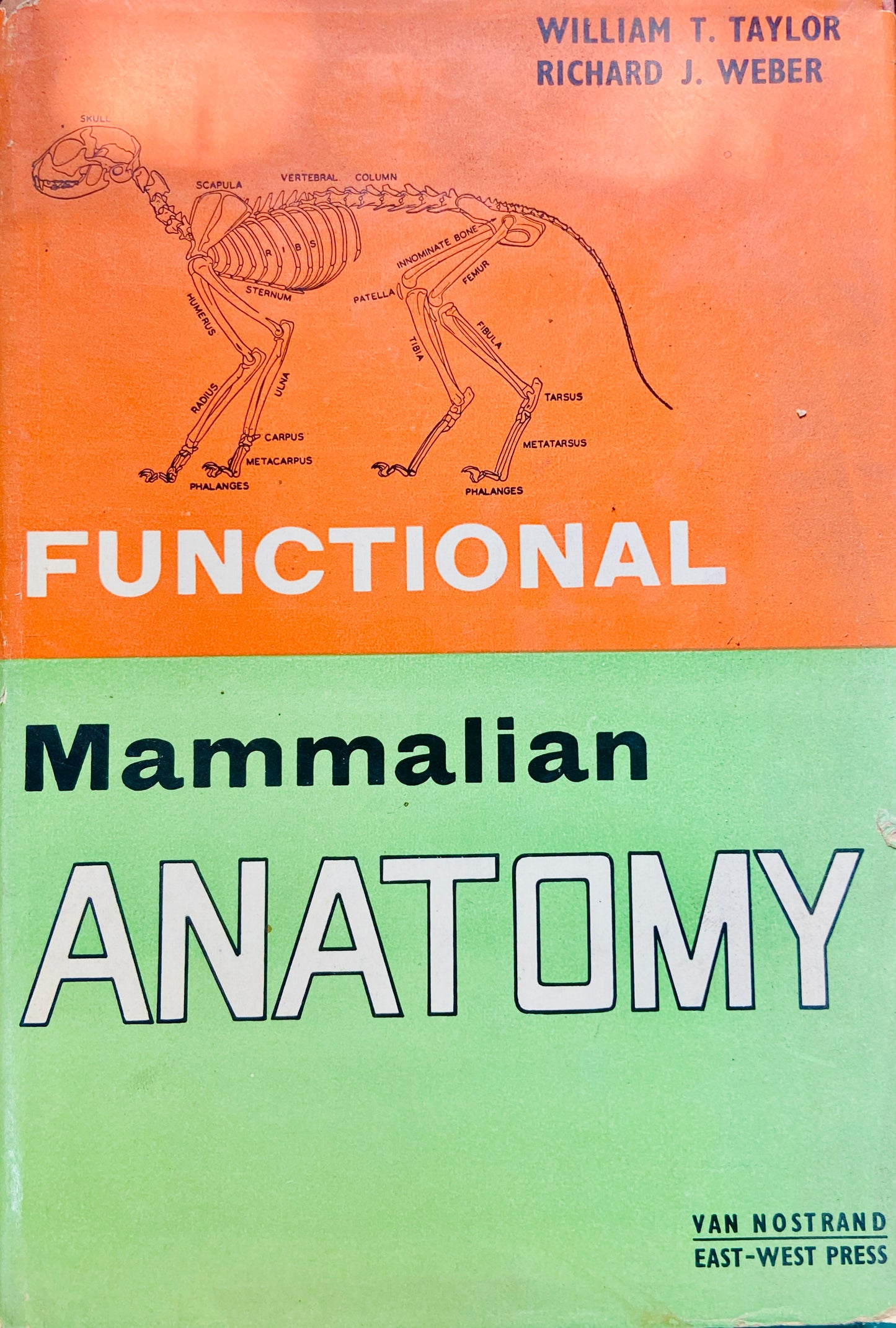 Functional Mammalian Anatomy by William Taylor, Richard Weber