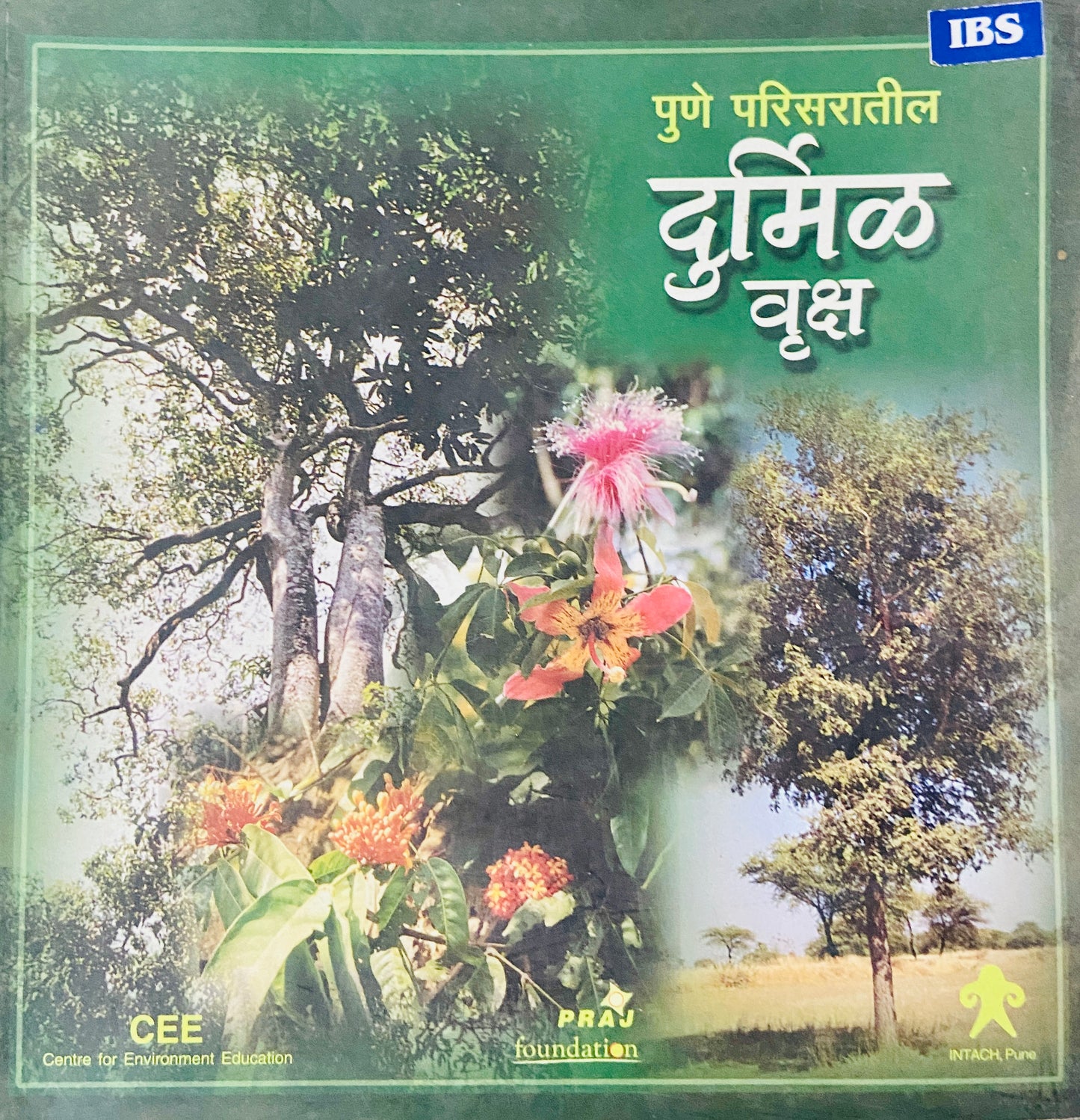 Pune Parisaratil Durmil Vruksha (D)