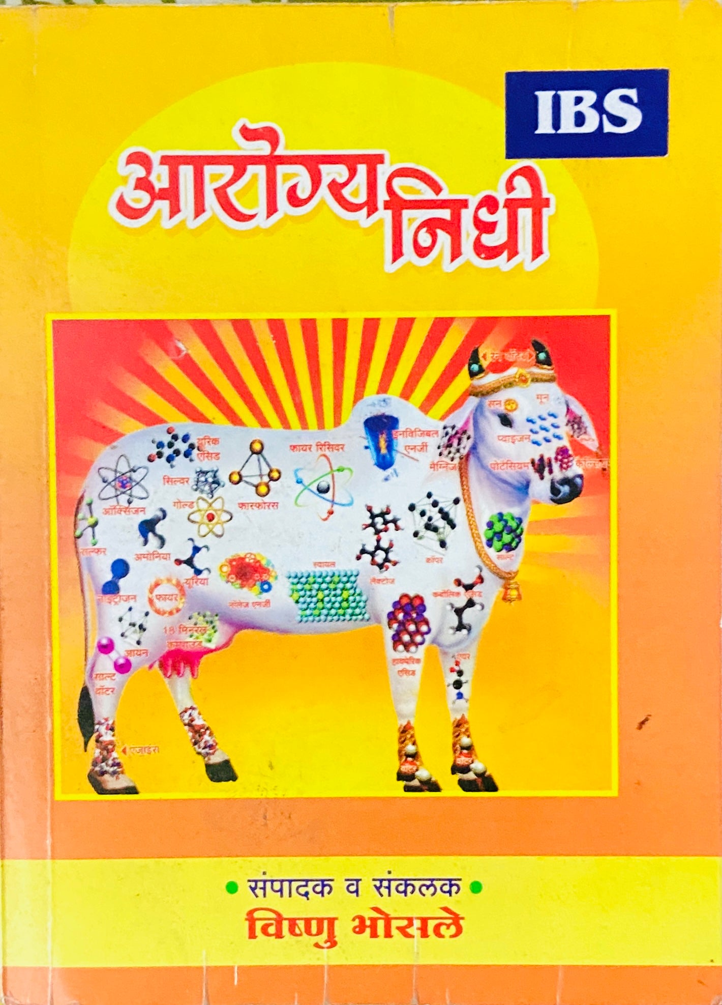 Arogya Nidhi by Vishnu Bhosale (P)