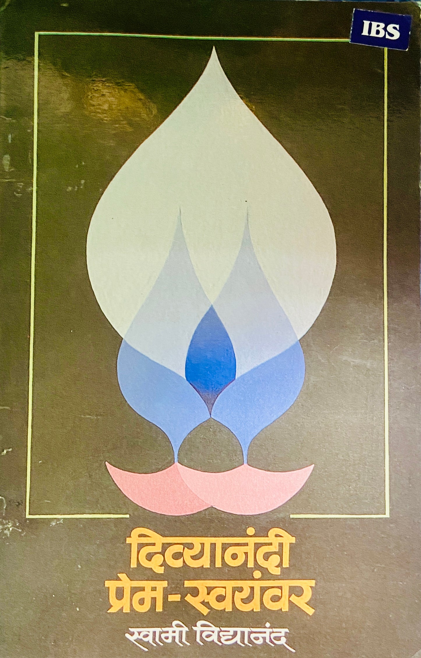 Divyanandi Prem Swayamwar by Swami Vidyananda