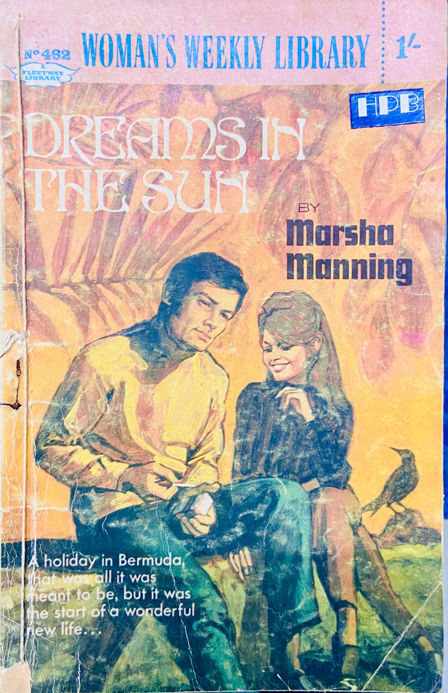 Dreams in the Sun by Marsha Manning