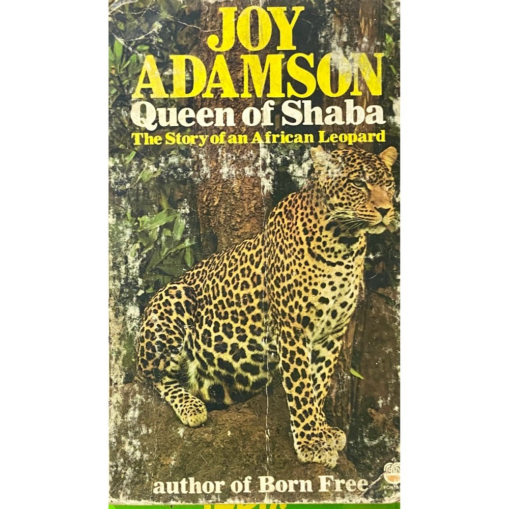 Queen of Shaba by Joy Adamson