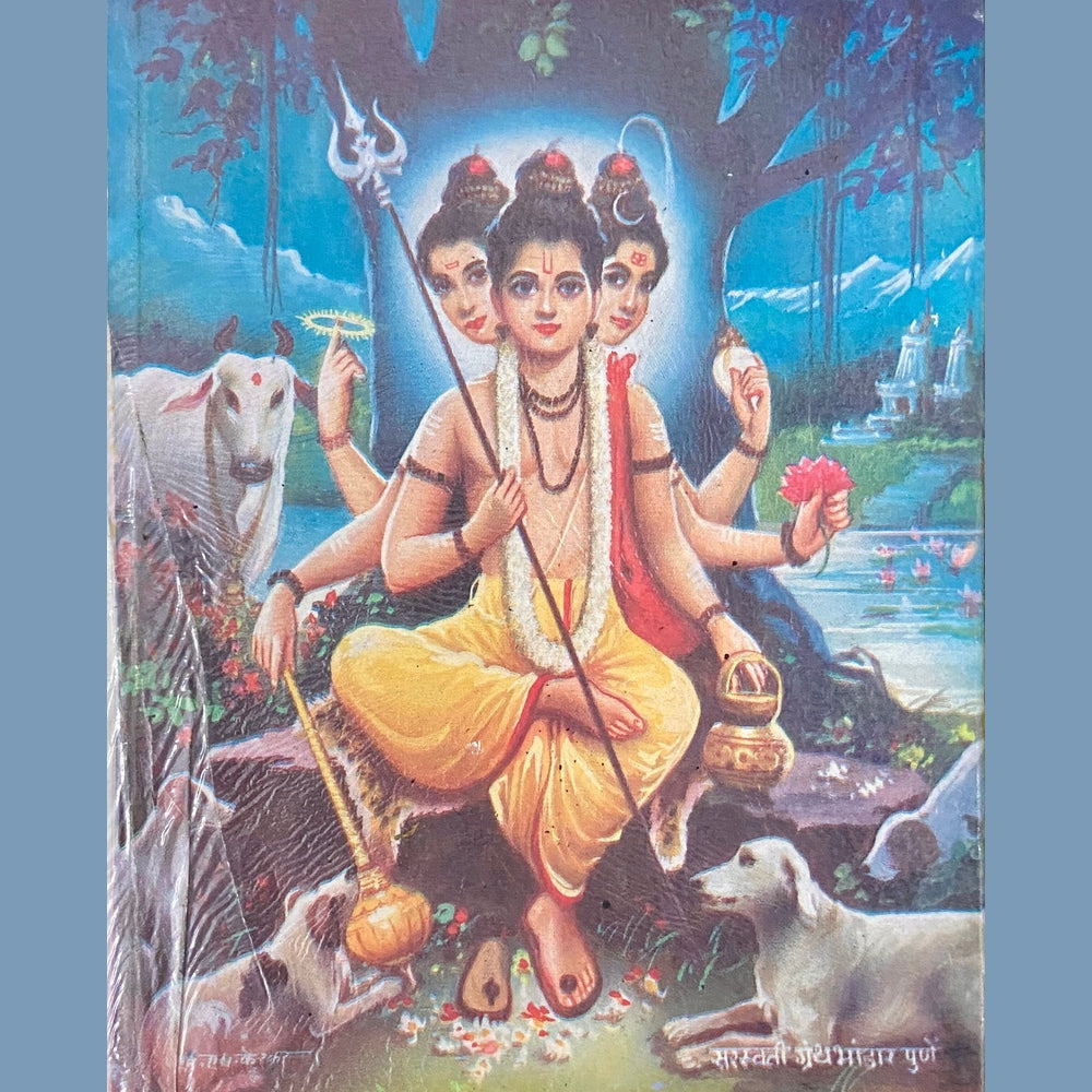 Shree Navnath Kathasar