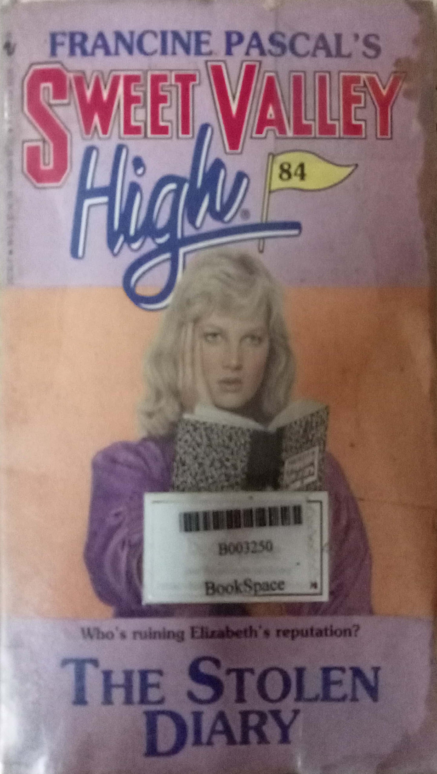 The Stolen Diary by Kate William, Francine Pascal