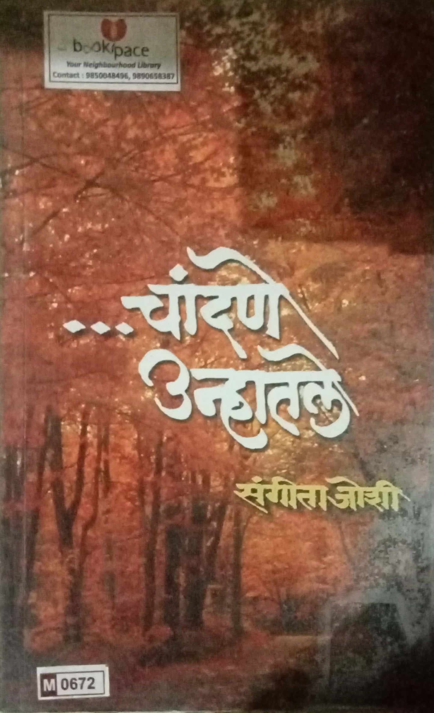 Chandane Unhatale by Saneeta Joshi