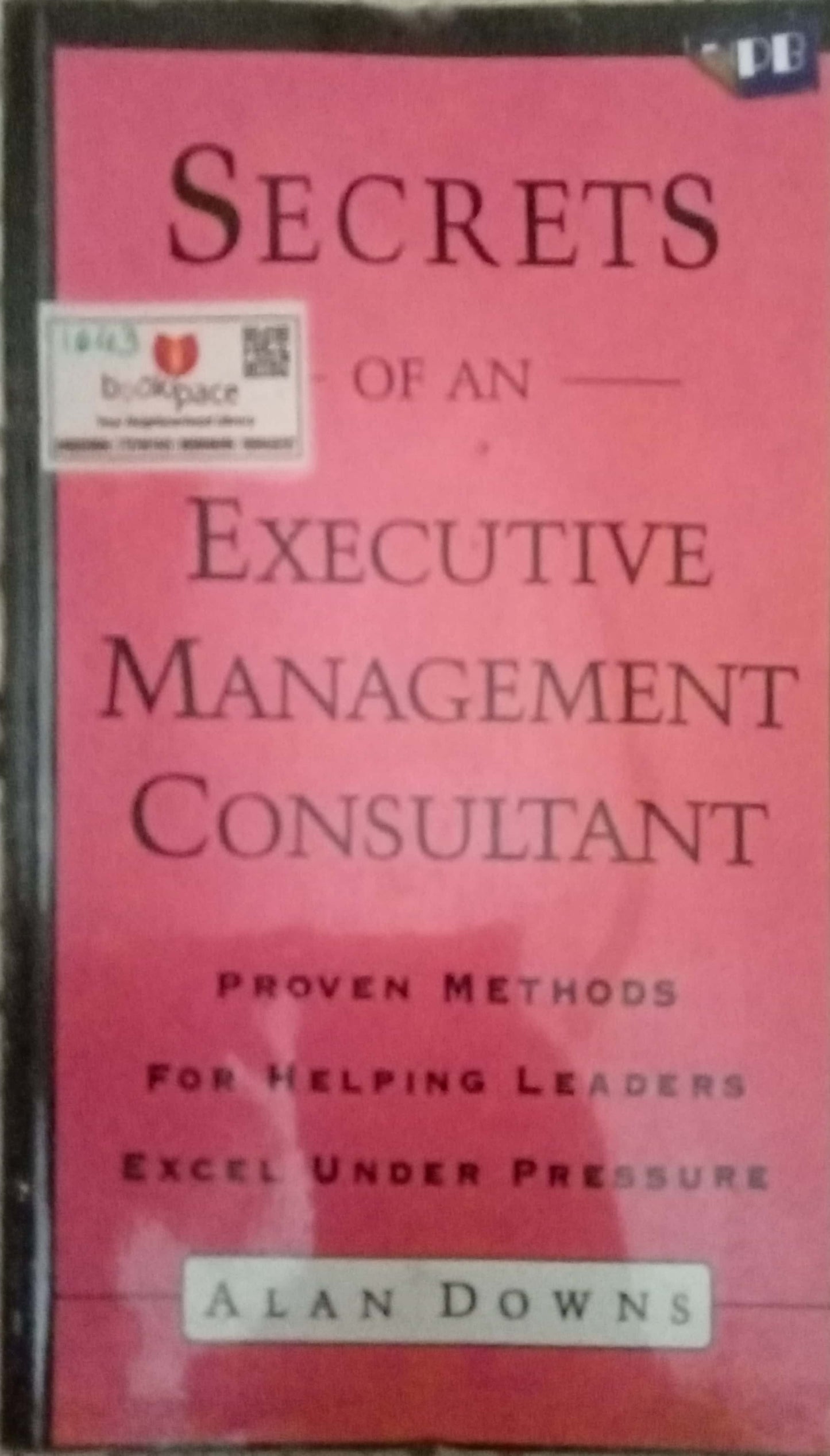 Secrets Of An Executive Management Consultant by Alen Downs
