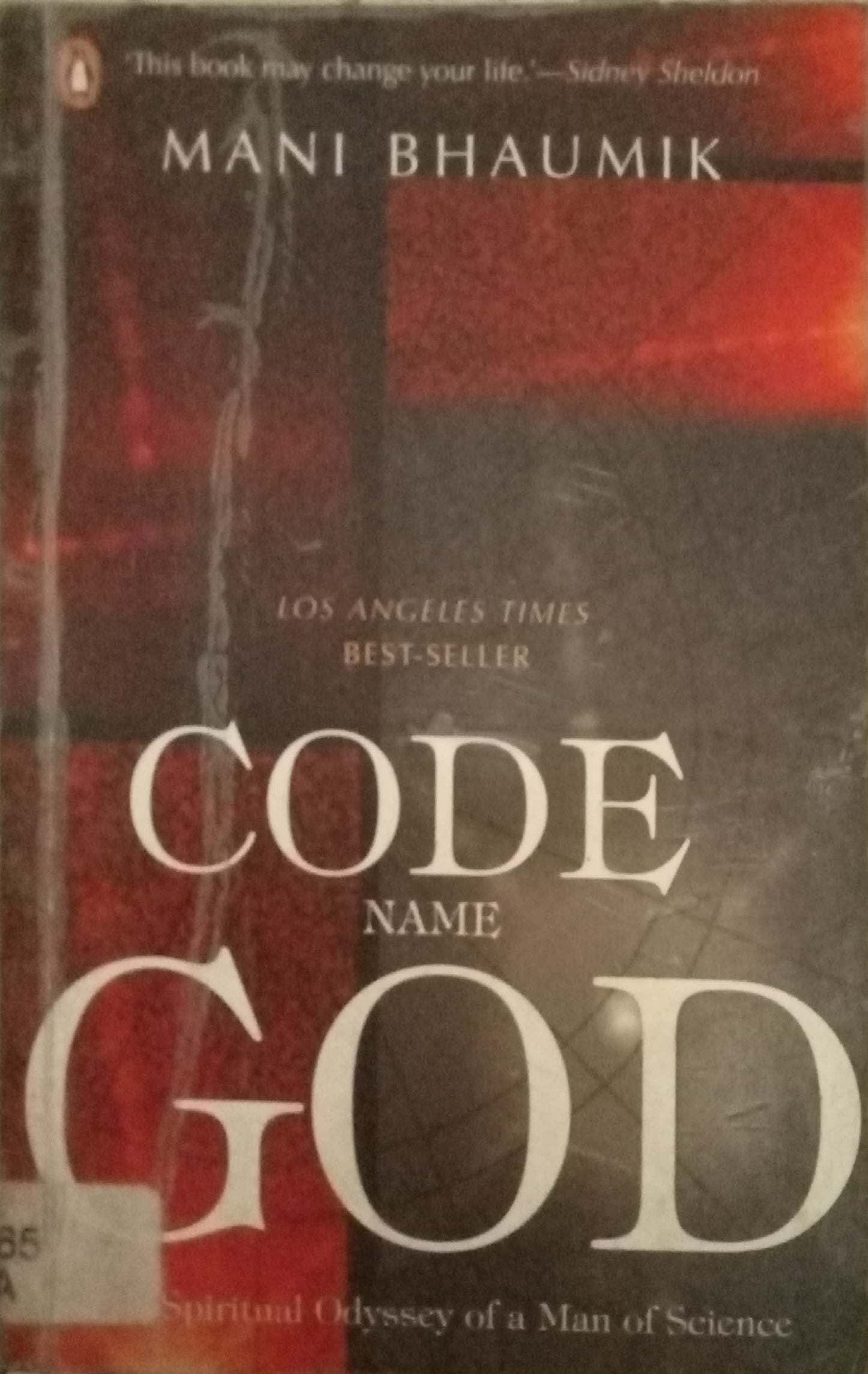 Code Name God by Mani Bhaumik