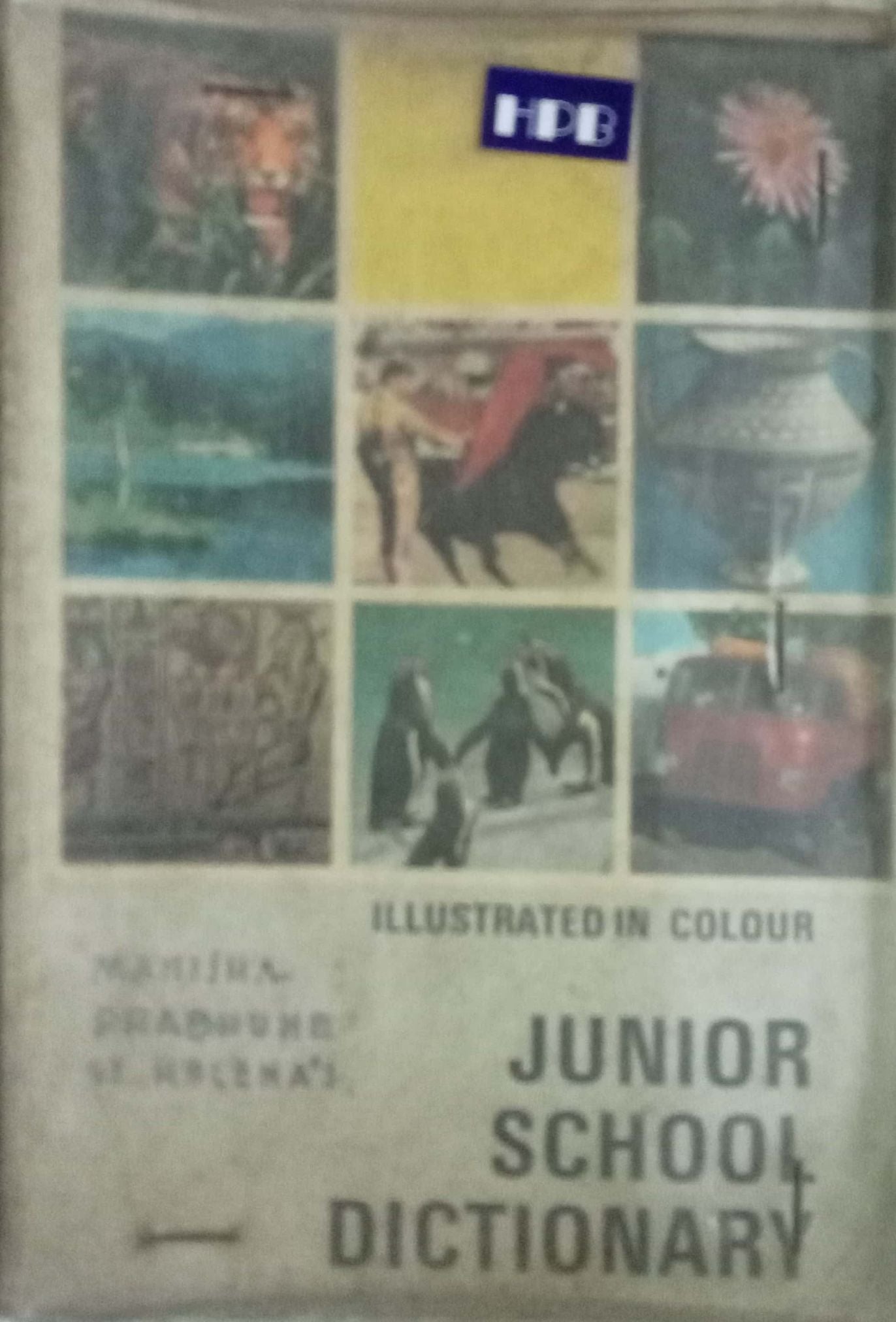 Junior School Dictionary