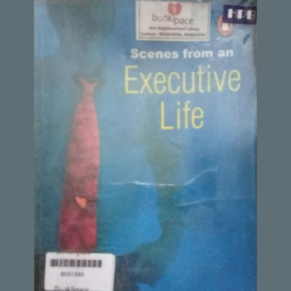 Scenes From An Executive Life by Anurag Mathur