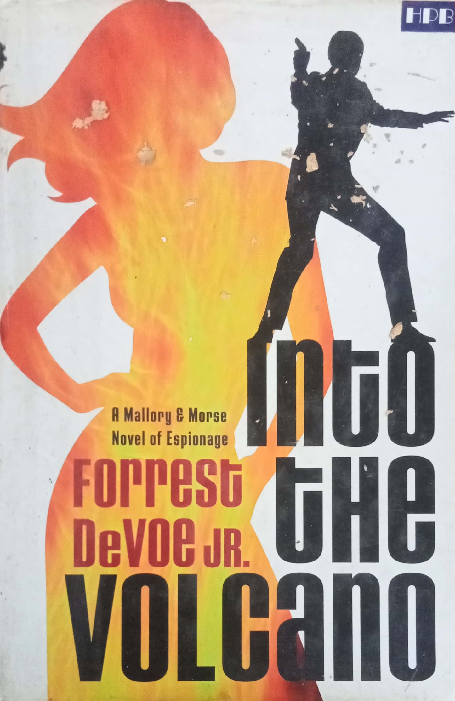 Into The Volcano by Forrest DeVoe Jr.