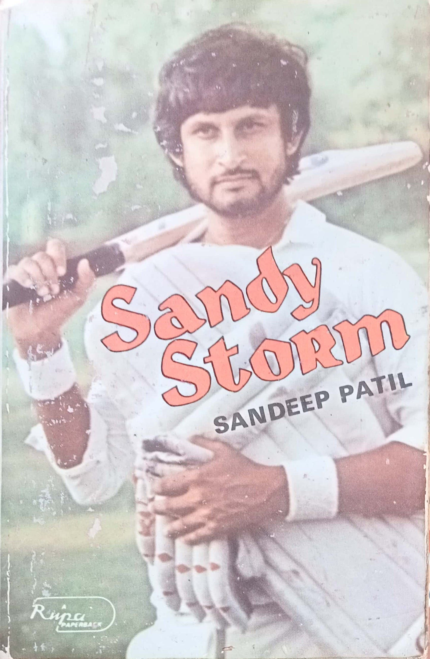 Sandy Storm by Sandeep Patil
