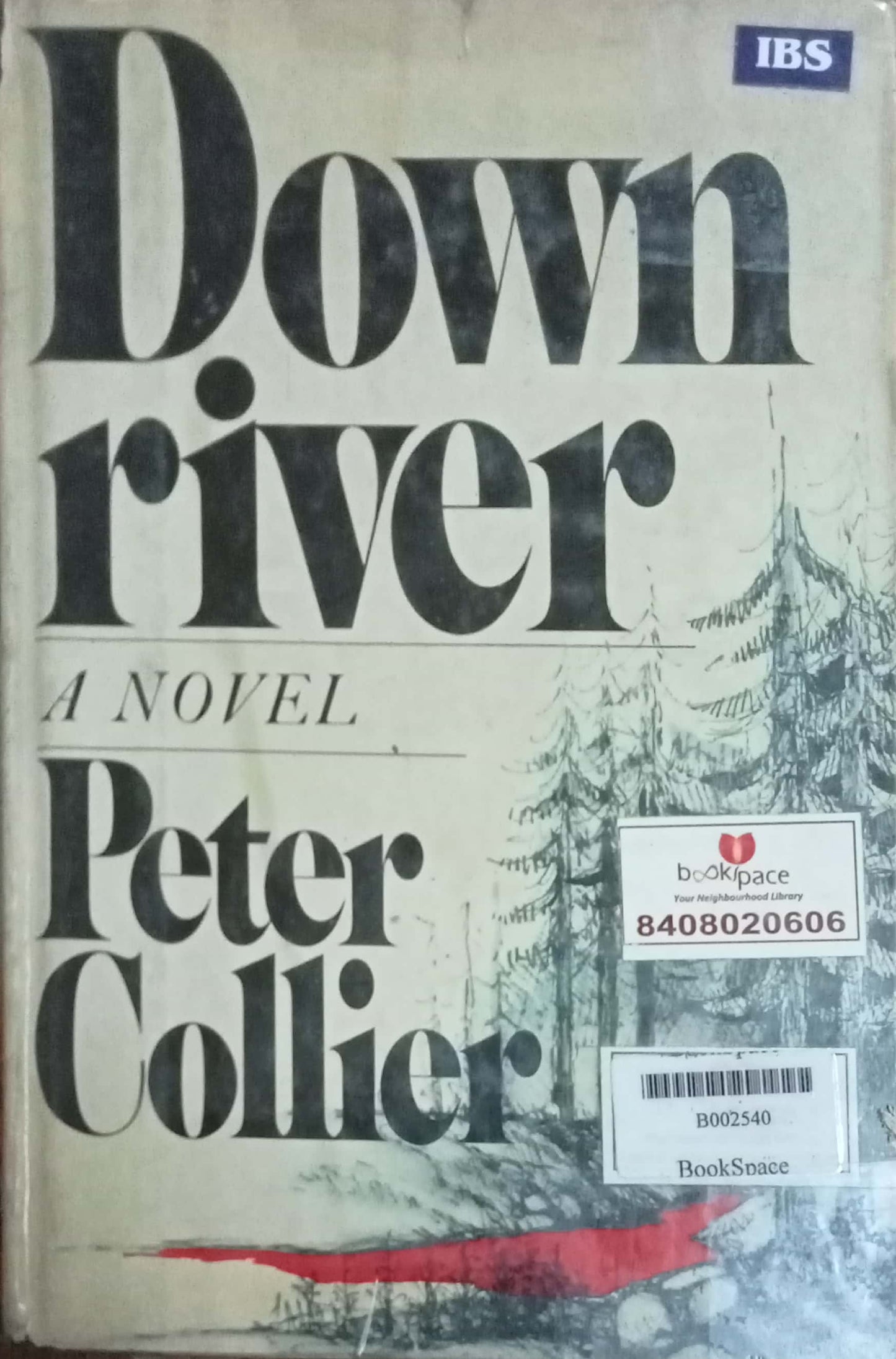 Down River by Peter Collier