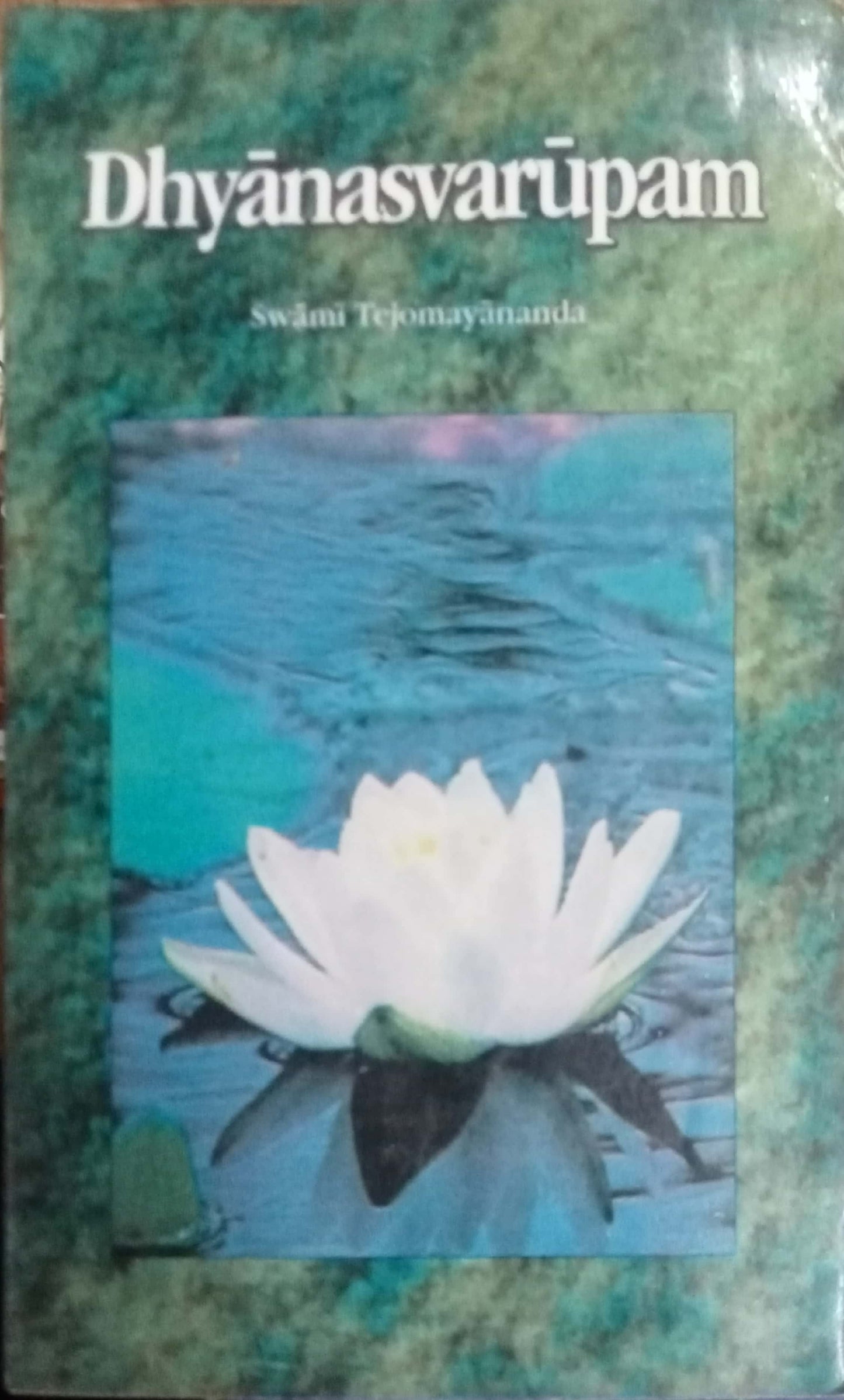 Divinising The Mina by Swami Tejomayananda