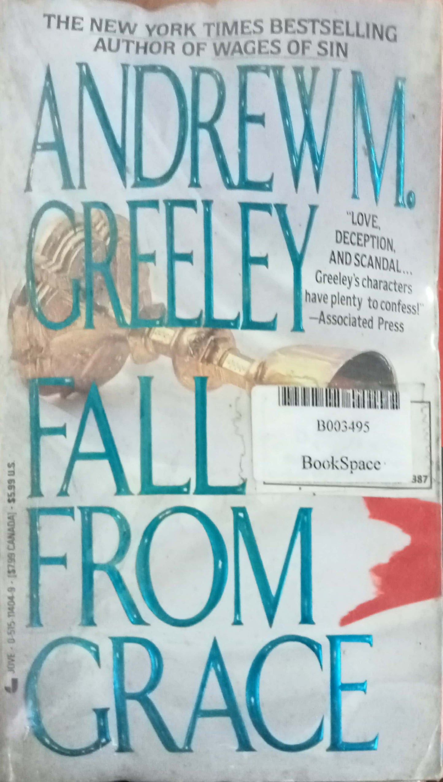 Fall From Grace by Andrew M. Greekey