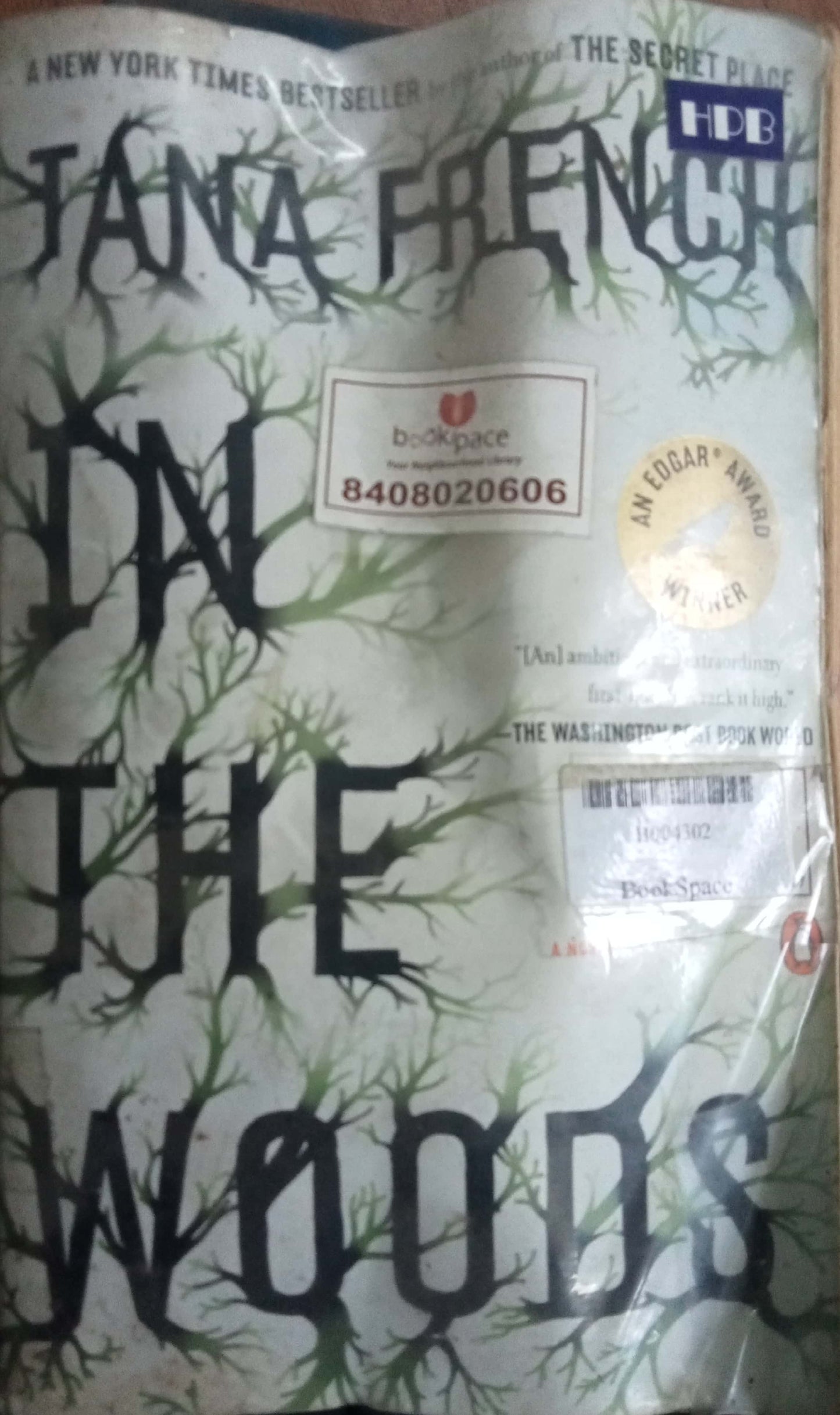 In The Woods by Tana French