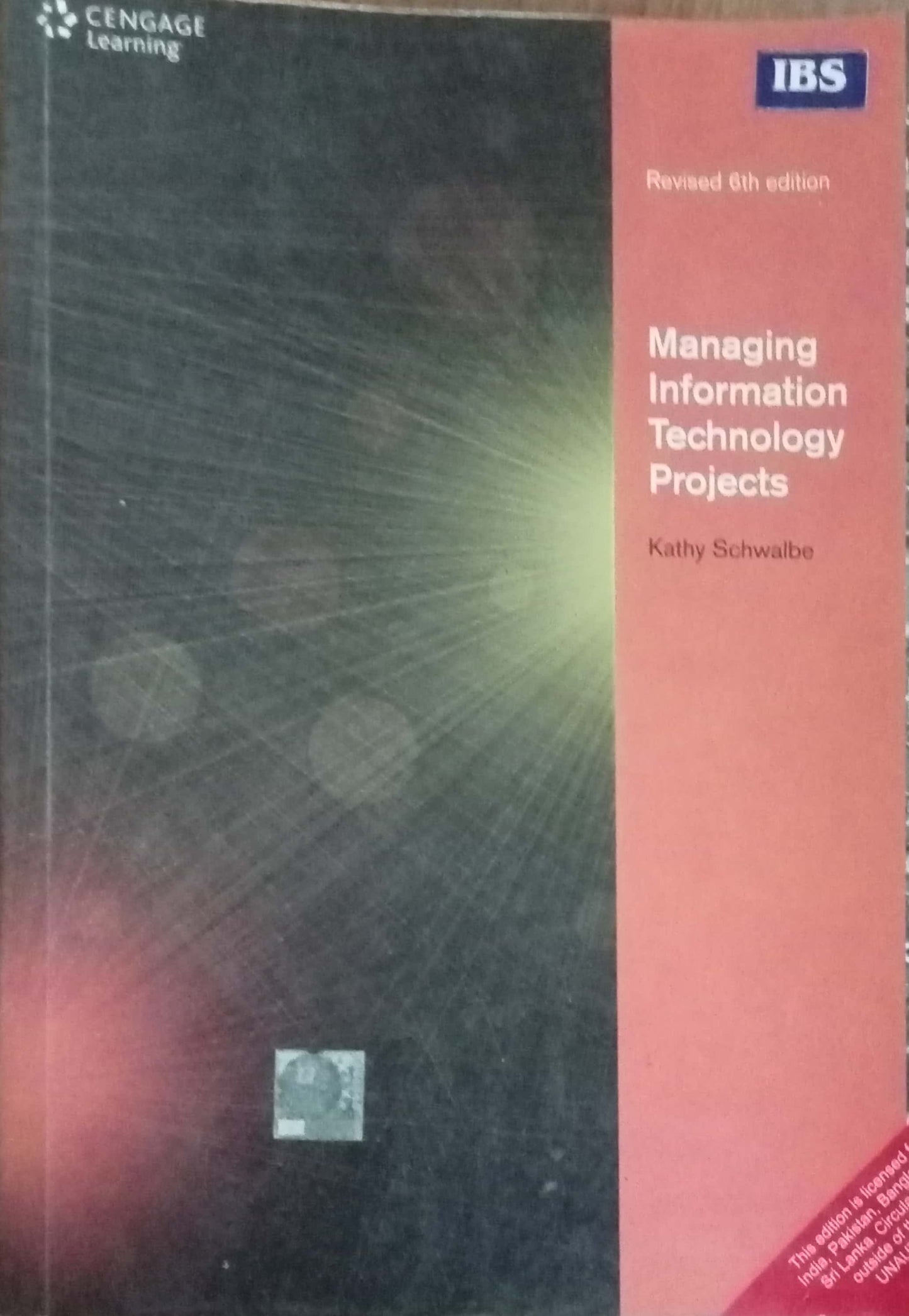 Managing Information Technology Project by Kathy Schwalbe