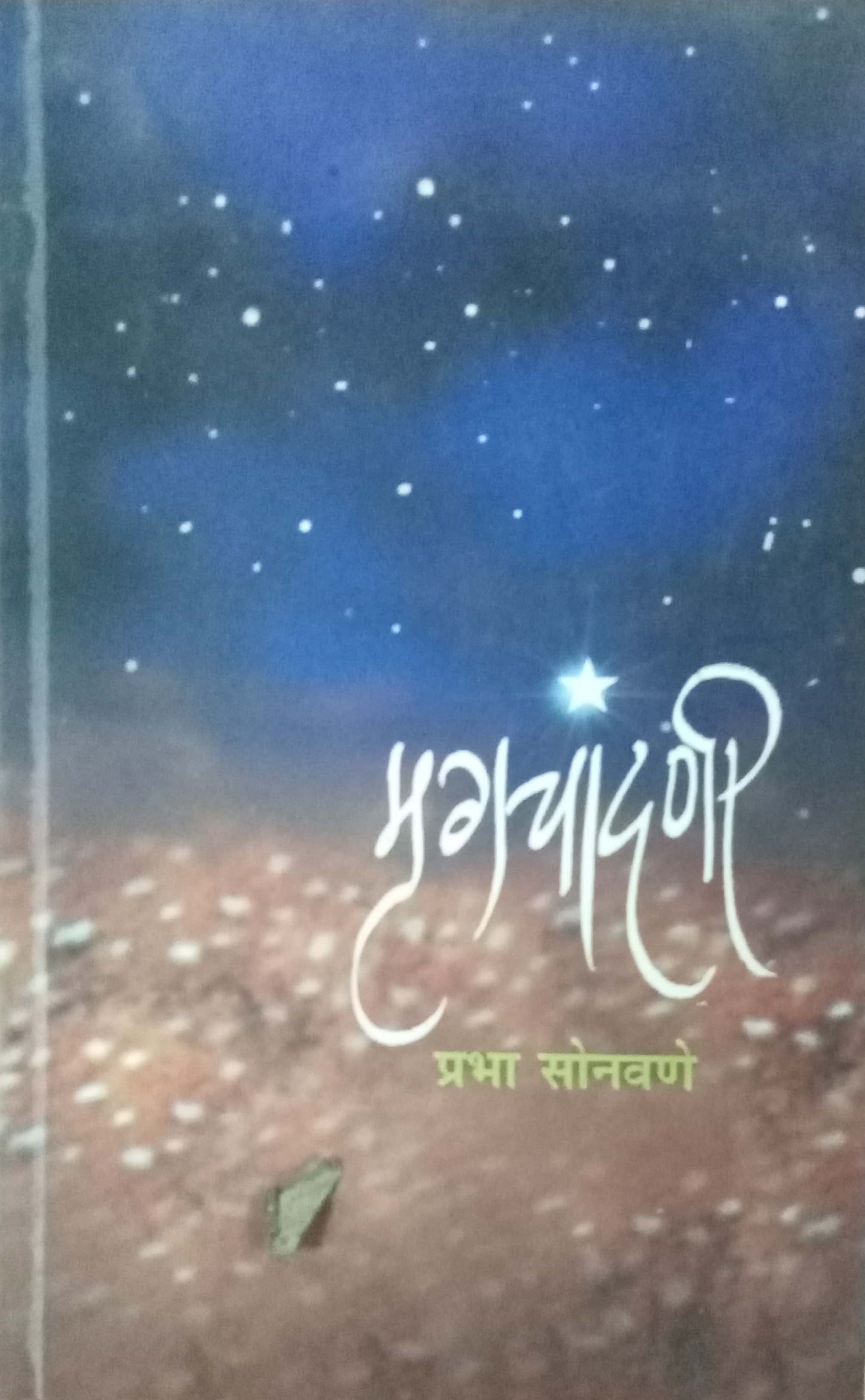 Mrugachadani by Prabha Sonawane