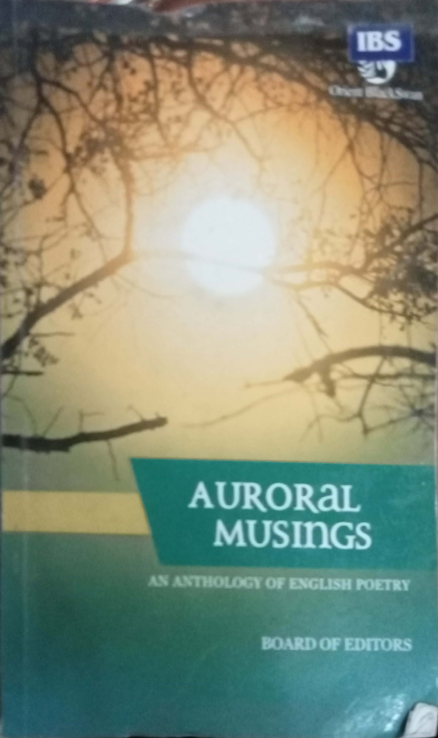 Auroral Musings