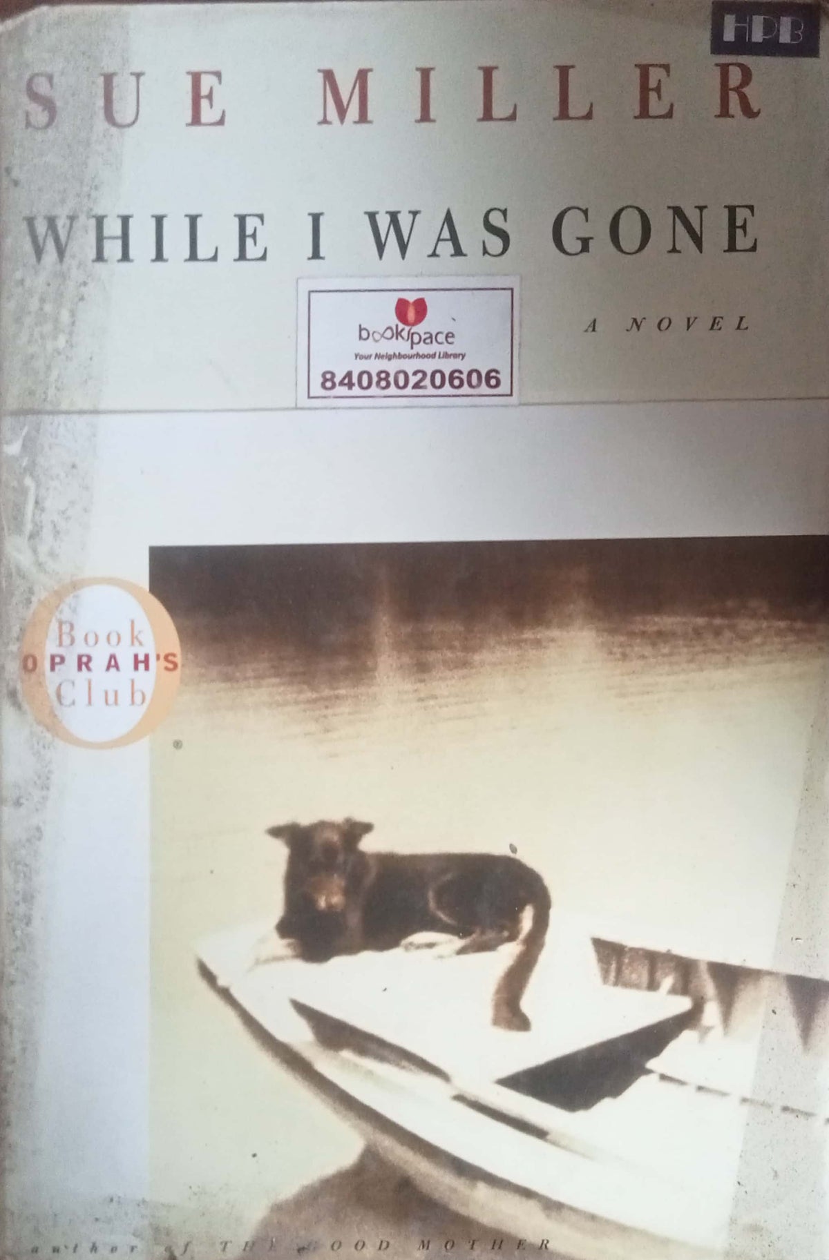 While I Was Gone by Sue Miller