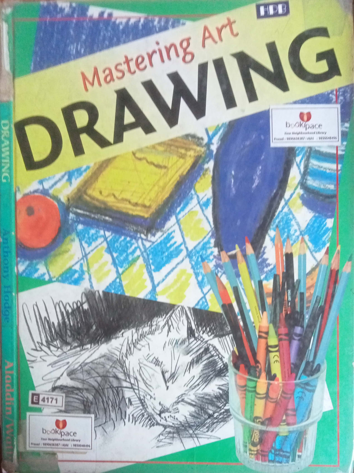 Mastering Art Drawing (D)