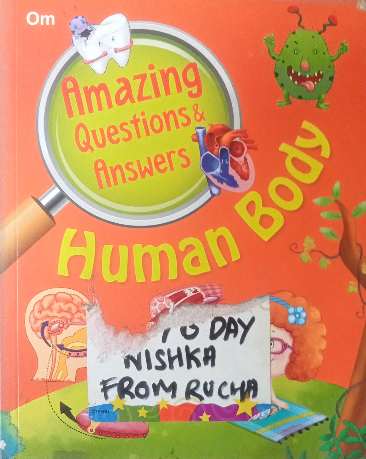 Amazing Questions & Answers Human Body (HD)