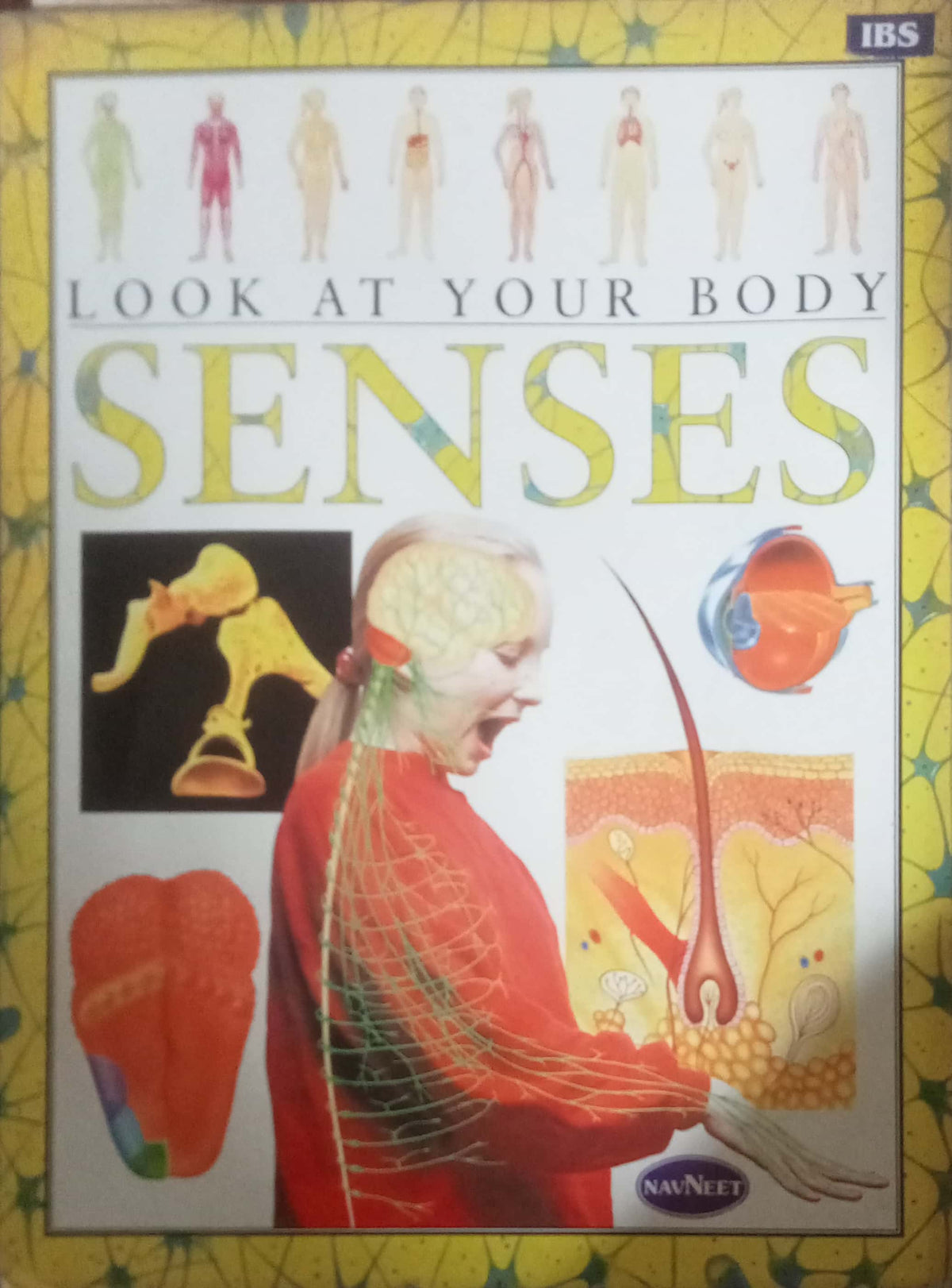 Look At Your Body Senses (HDD)
