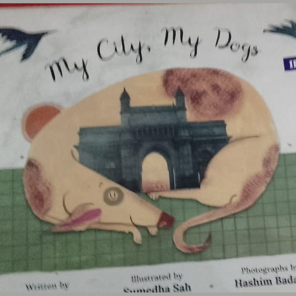 MY CITY MY DOGS