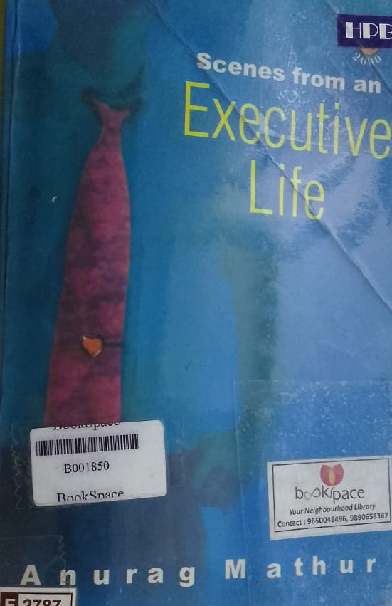 SCENES FROM AN EXECUTIVE LIFE BY AUNRAG MATHUR