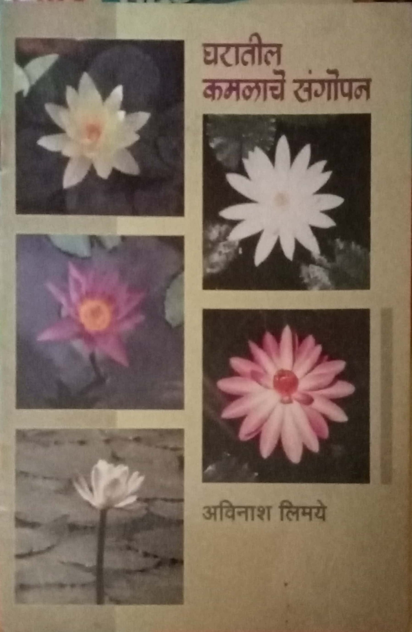 Gharatil Kamalache Sangopan by Aavinash Limaye