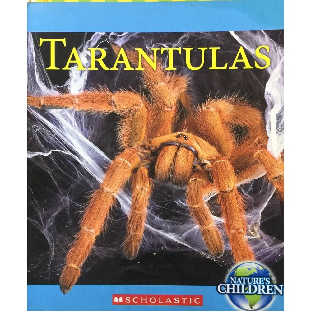 Tarantulas Nature's Children Half Price Books India Books inspire-bookspace.myshopify.com Half Price Books India