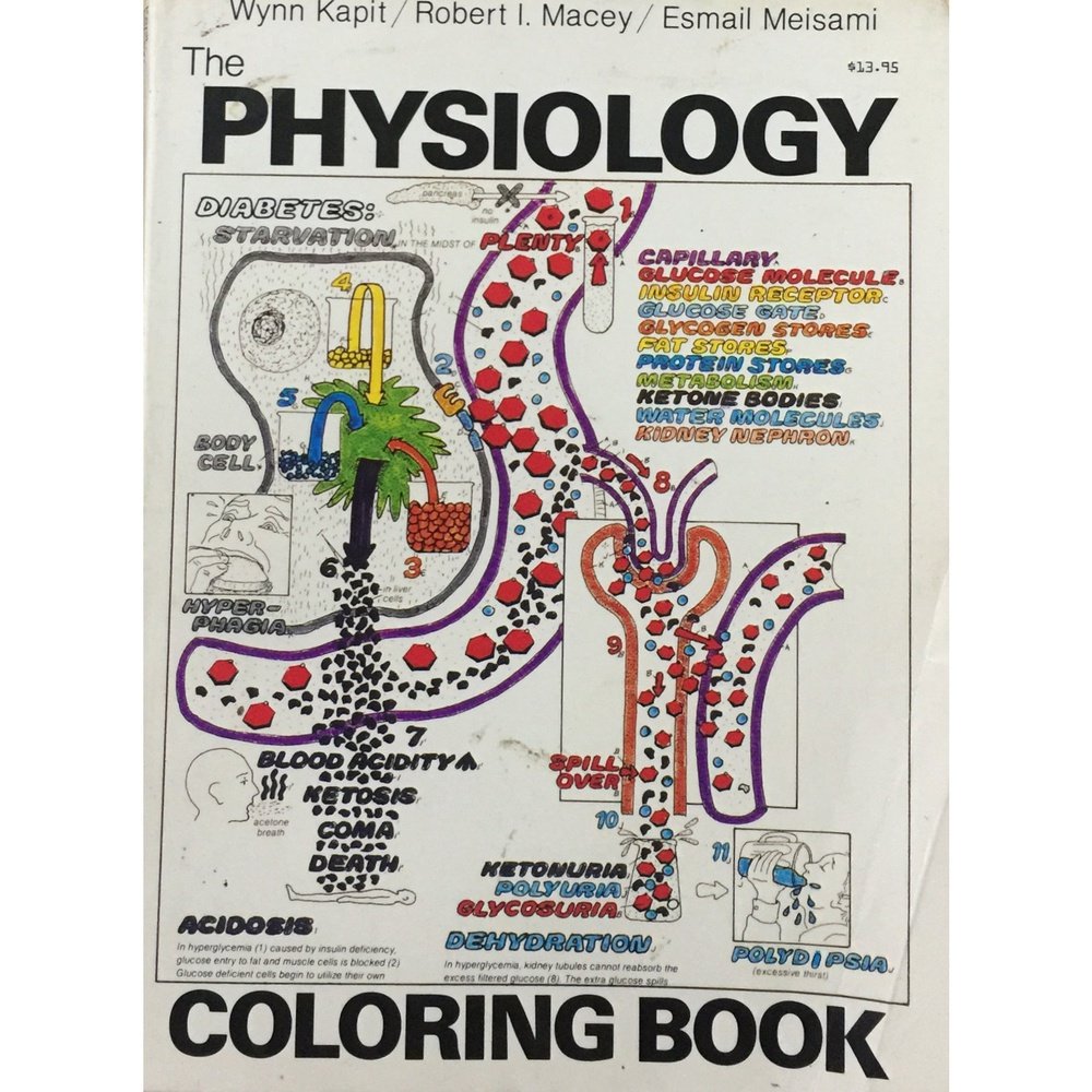 The Physiology Coloring Book by Wynn Kapit, Robert Macey, Esmail Meisami Half Price Books India Books inspire-bookspace.myshopify.com Half Price Books India