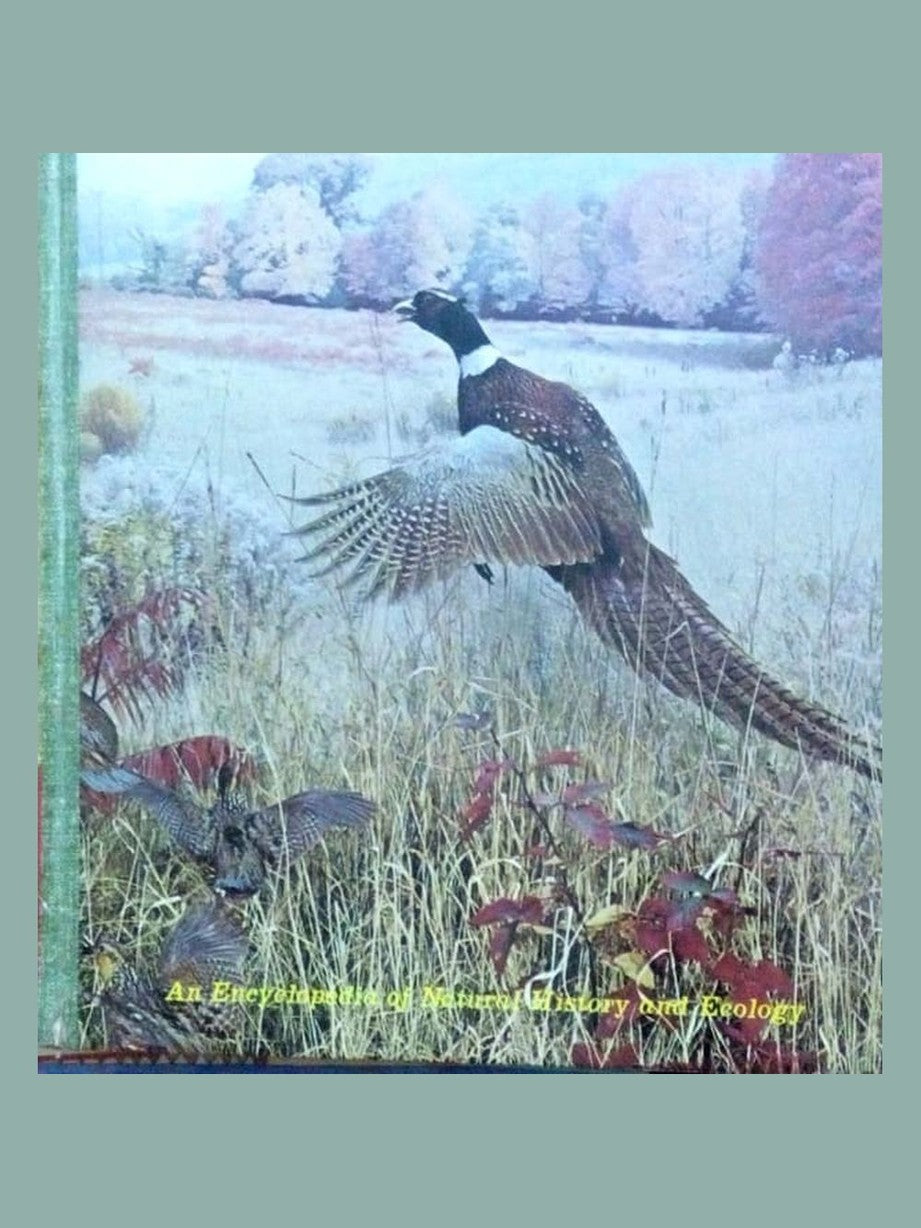 Illustrated library of nature Volume 6 Half Price Books India books inspire-bookspace.myshopify.com Half Price Books India