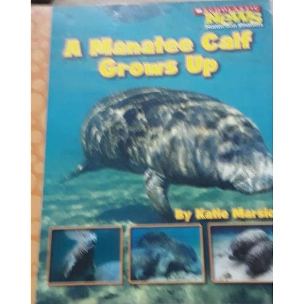 A Manatee Calf Grows Up Half Price Books India Books inspire-bookspace.myshopify.com Half Price Books India