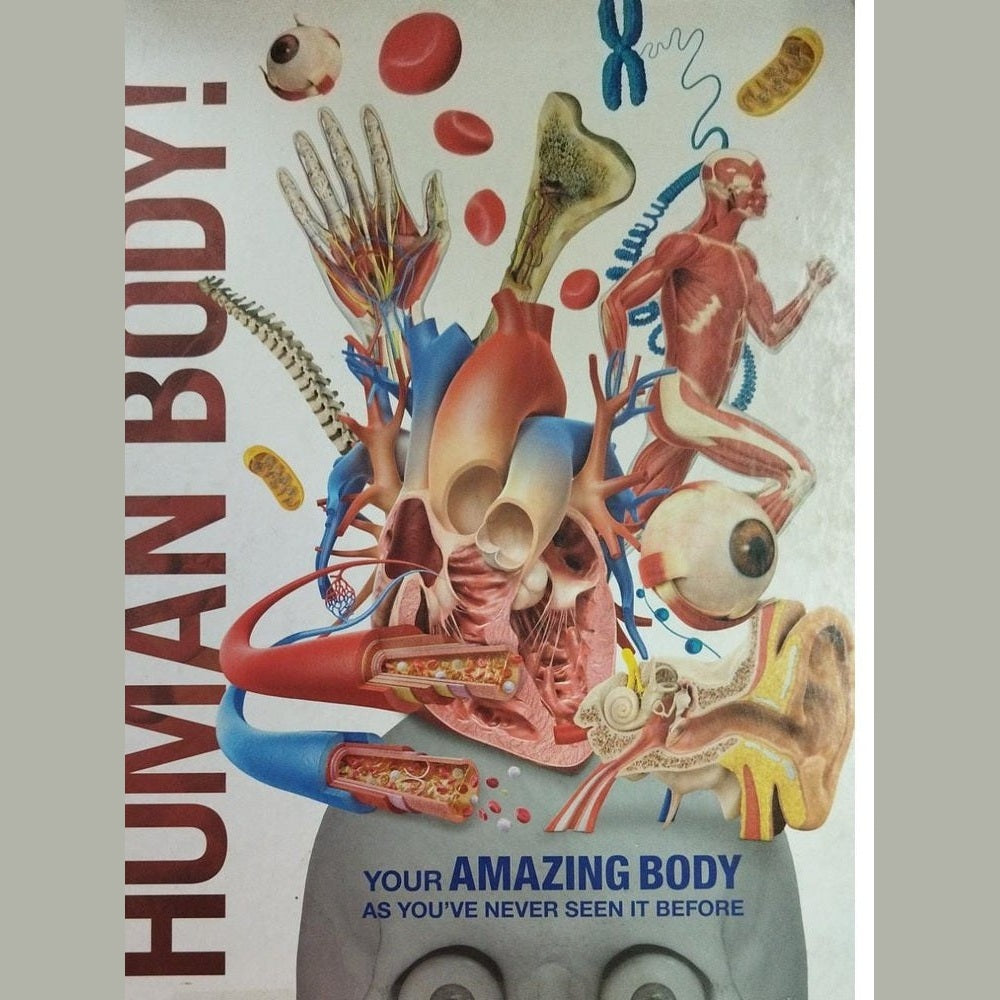 Knowledge Encyclopedia Human Body (Set of 6 Books, 1 Book Missing) (D)