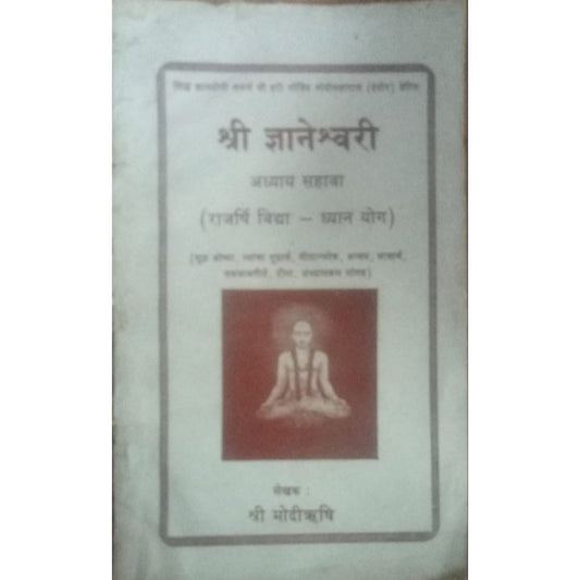 Shri Dnyaneswari By Shri Modirushi