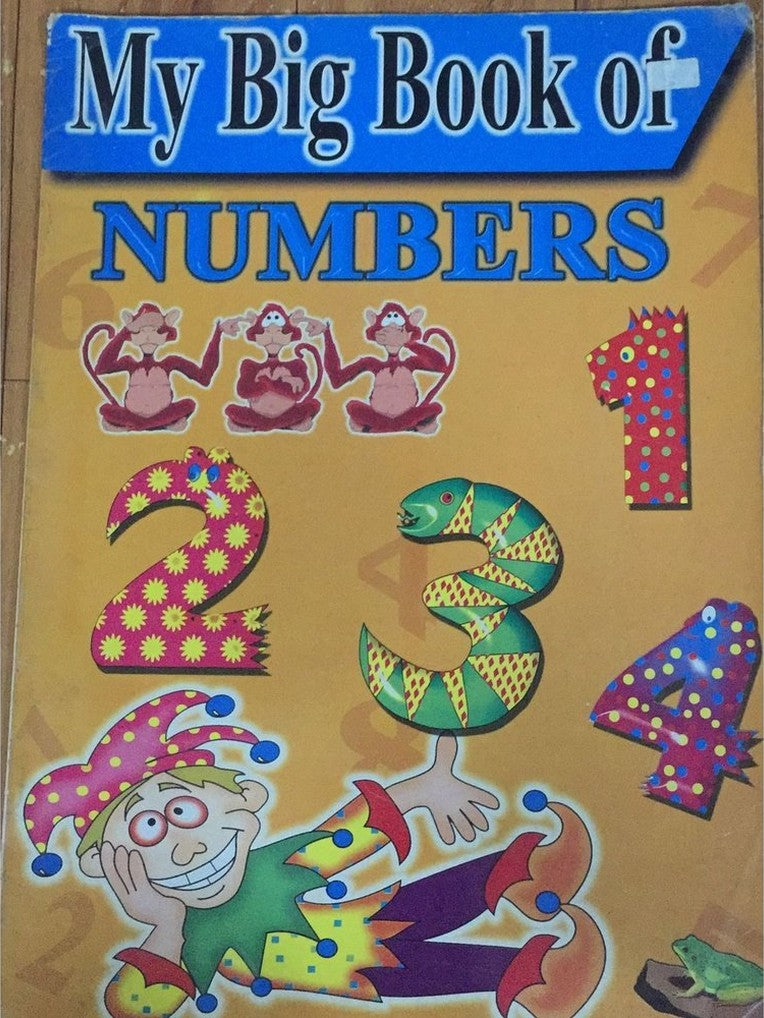 My Big Book Of NUMBERS (D)