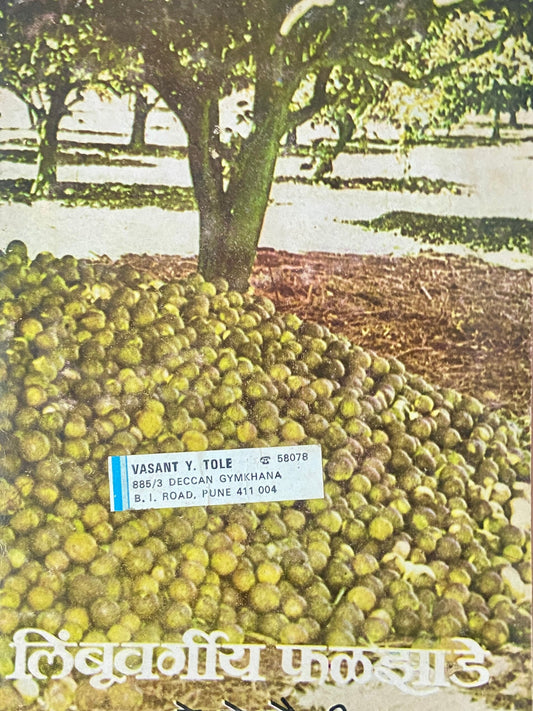 Limbuvarguya Phaljhade by K G Choudhari