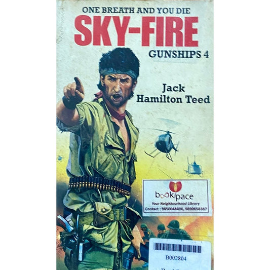 Sky Fire by Jack Hamilton Teed