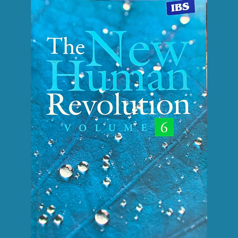 The New Human Revolution Vol 6 by Daisaku Ikeda.