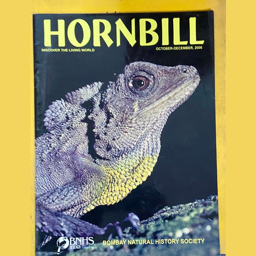 Hornbill Oct Dec 2006 (D)