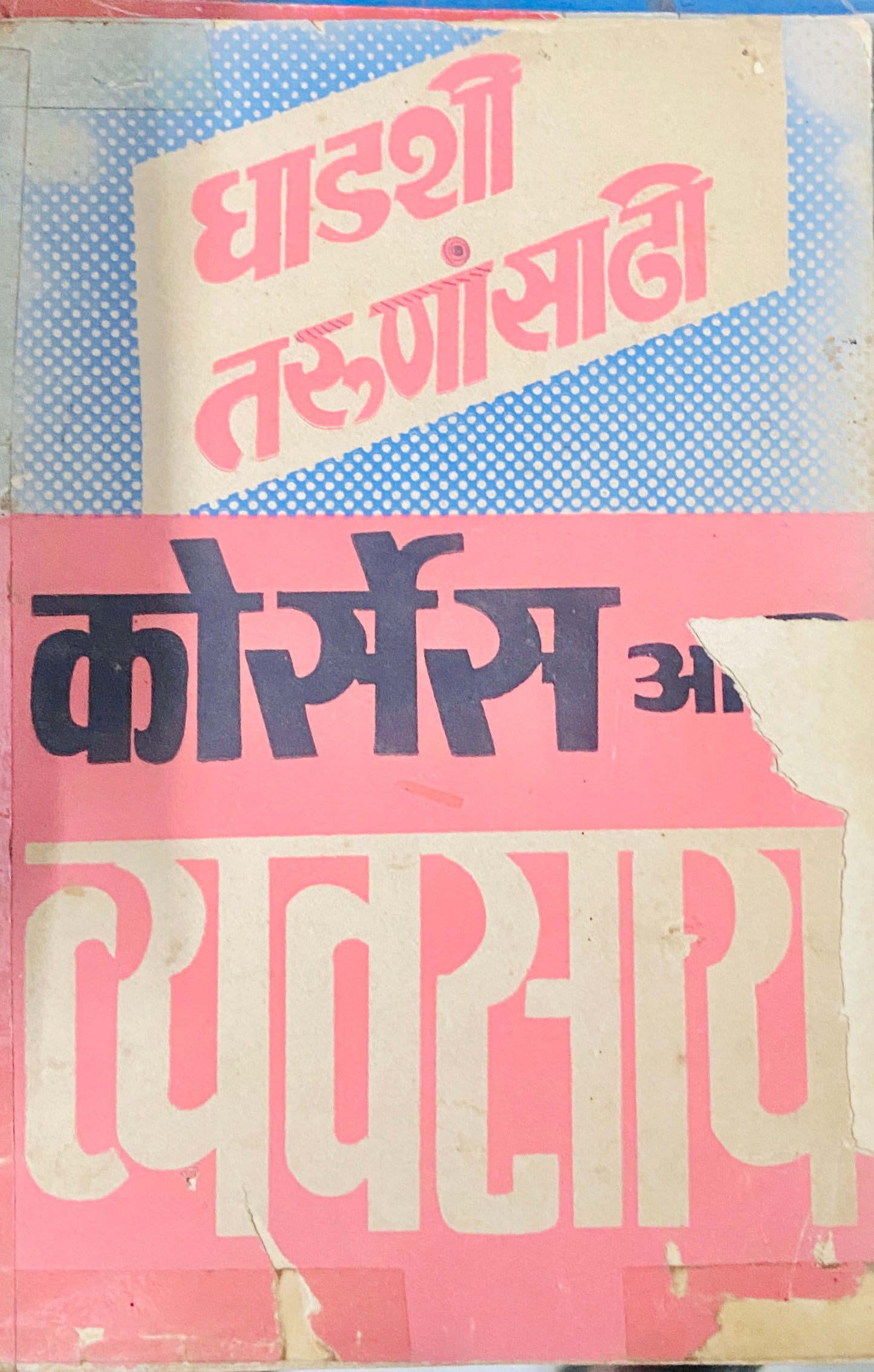 Dhadasi Tarunansathi Cources Ani Vyavasay by Prabhakar Dighe