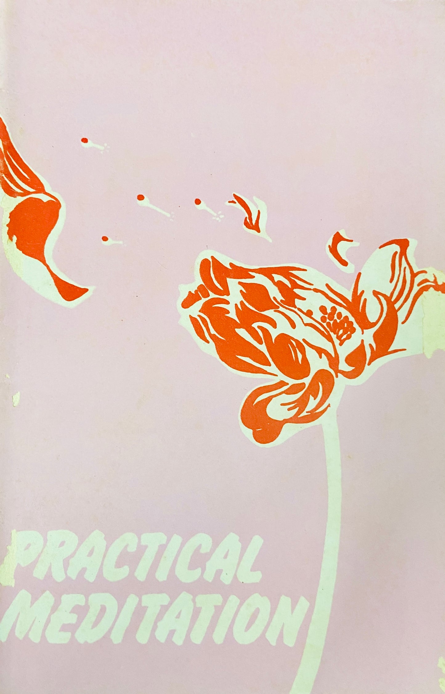 PRACTICAL MEDITATION