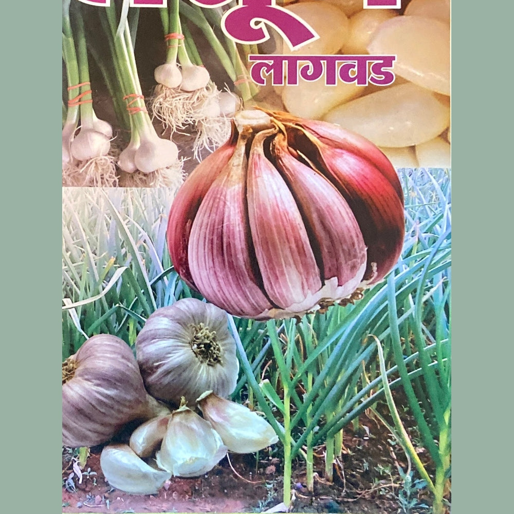 Lasoon Lagwad by V G Raul